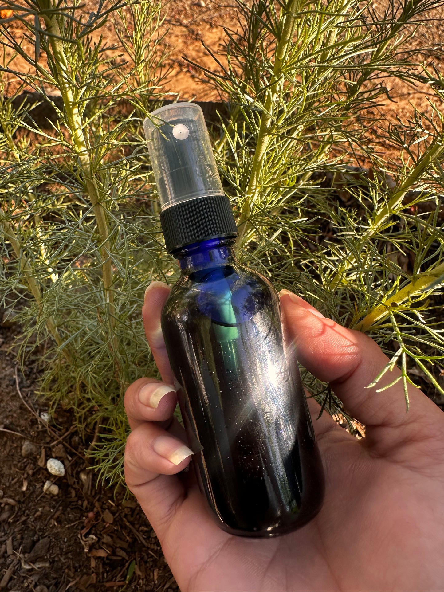 Ojai Wild Rescue Spray